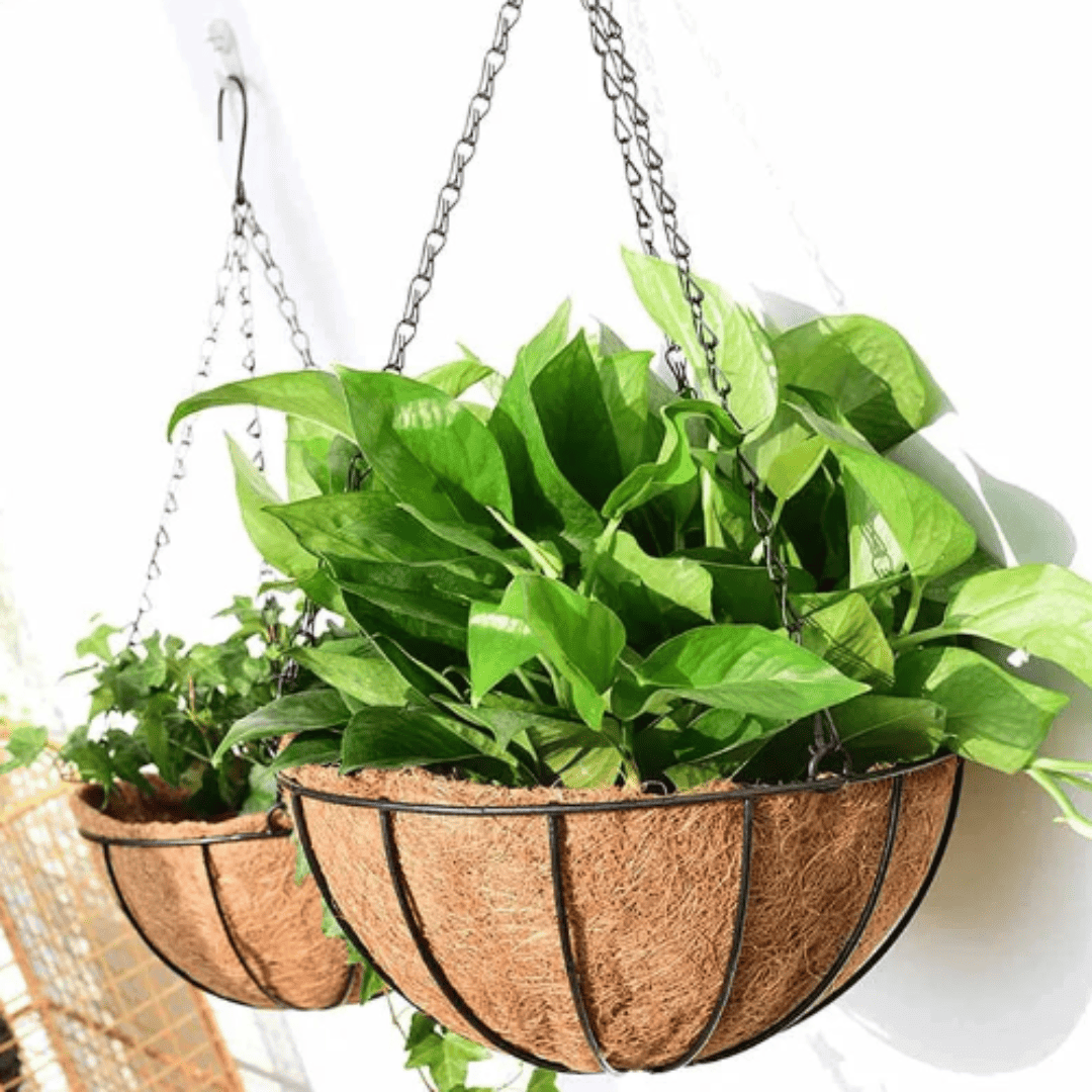 Suporte de Planta Suspenso em Metal Redondo com Forro de Coco Ideal para Jardim, Varanda e Decoração de Casa | Loja Bosque
