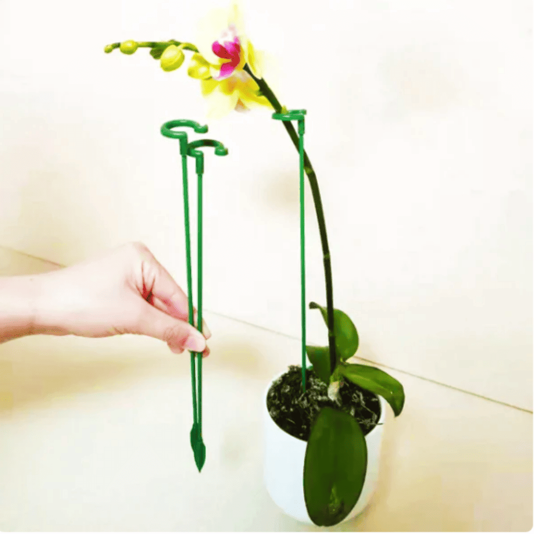 Kit com 10 Hastes de Suporte para Plantas – Estabilidade e Crescimento Saudável | Loja Bosque