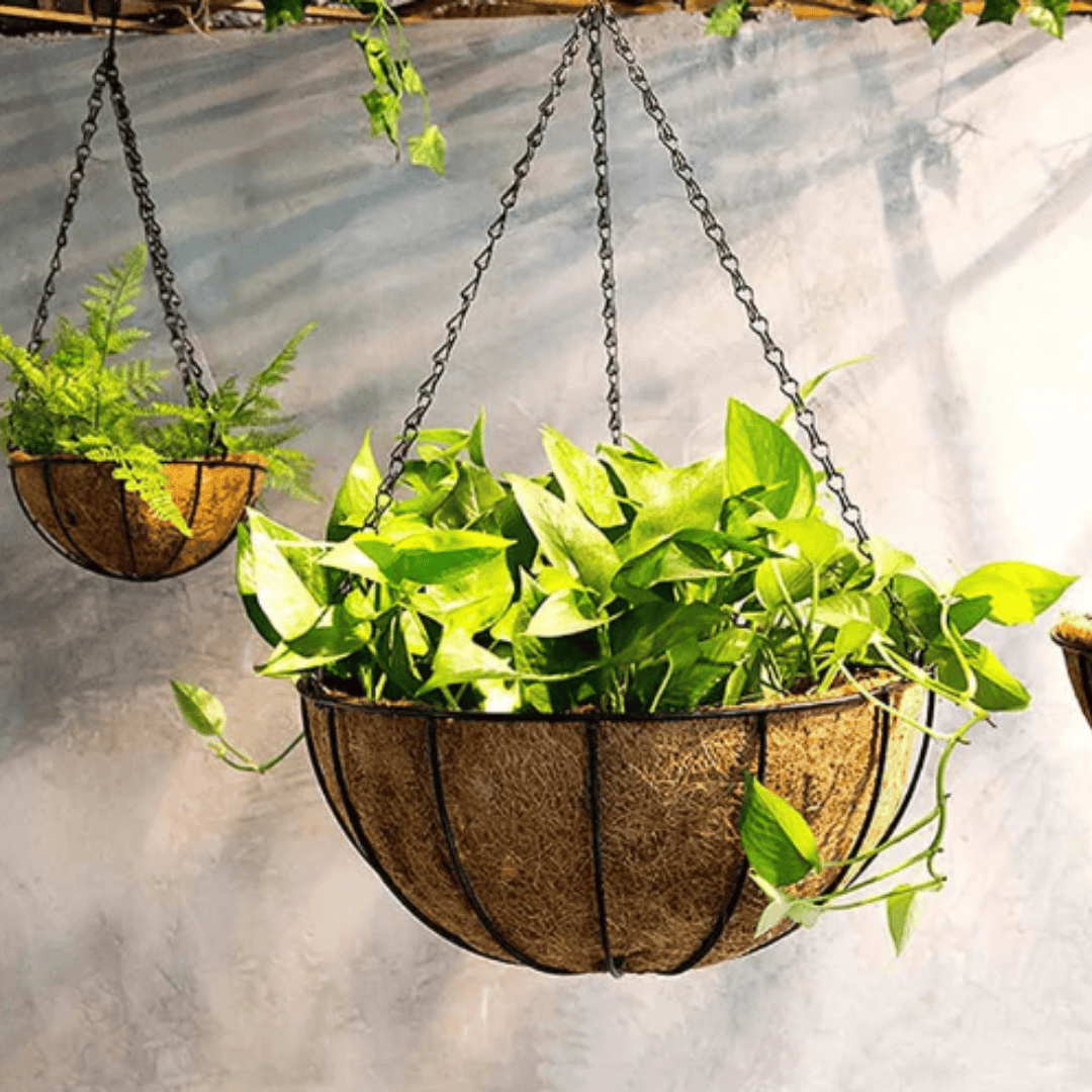 Suporte de Planta Suspenso em Metal Redondo com Forro de Coco Ideal para Jardim, Varanda e Decoração de Casa | Loja Bosque