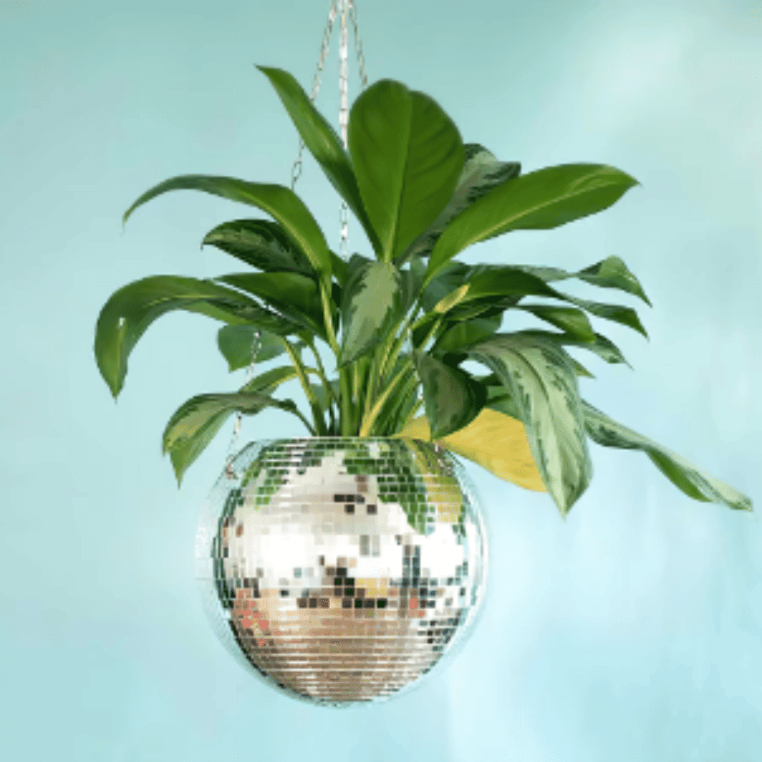 Vaso de Flores Criativo Estilo Bola de Discoteca para Plantas e Suculentas | Loja Bosque