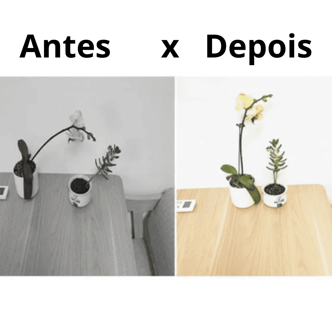 Kit com 10 Hastes de Suporte para Plantas – Estabilidade e Crescimento Saudável | Loja Bosque